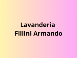 Lavanderia fillini armando - Lavanderie a secco - Torino (Torino)