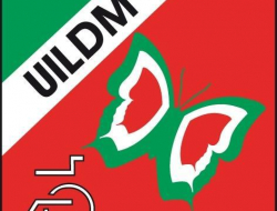 Unione italiana lotta alla distrofia muscolare - Associazioni di volontariato e di solidarieta' - Udine (Udine)