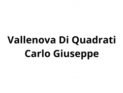 Vallenova di quadrati carlo giuseppe - Società immobiliari - Prato (Prato)