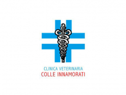 Clinica veterinaria colle innamorati - Veterinari - Pescara (Pescara)