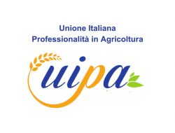 Uipa - Associazioni sindacali e di categoria - Roma (Roma)