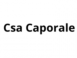 Csa caporale - Caf centri,Consulenza amministrativa, fiscale e tributaria,Consulenza del lavoro - Paola (Cosenza)