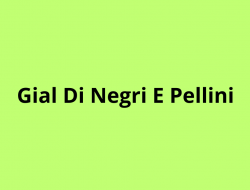 Gial di negri e pellini - Dentisti medici chirurghi ed odontoiatri - Milano (Milano)