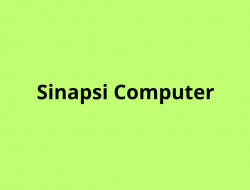 Sinapsi computer - Computer - manutenzione - Calalzo di Cadore (Belluno)