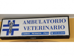 Ambulatorio veterinario associato dr. cabboi - messina - piga - Veterinari - Quartu Sant'Elena (Cagliari)