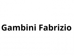 Gambini fabrizio - Medici specialisti - neurologia e psichiatria - Torino (Torino)