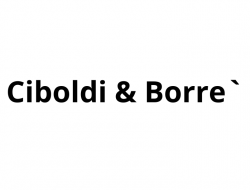 Ciboldi & borre` - Idraulici e lattonieri - Milano (Milano)