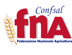 F.n.a. zonale maddaloni - Associazioni sindacali e di categoria - Maddaloni (Caserta)
