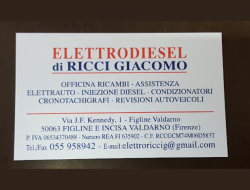 Elettrodiesel di ricci giacomo - Autofficine e centri assistenza - Figline e Incisa Valdarno (Firenze)
