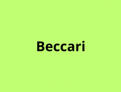 Beccari s.a.s. di beccari emanuele c. - Macellerie - Vigevano (Pavia)