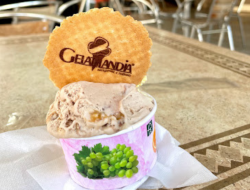 Gelatilandia - Gelaterie - Latina (Latina)