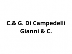 C.& g. di campedelli gianni & c. - Elaborazione dati - servizio conto terzi - Verona (Verona)