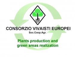 Consorzio produttori vivaisti cannetesi s.c.r.l. - Vivai piante e fiori - Canneto sull'Oglio (Mantova)