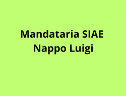 Mandataria siae sala consilina nappo luigi - Associazioni artistiche, culturali e ricreative - Sala Consilina (Salerno)