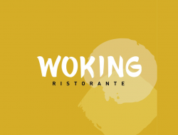 Ristorante woking s.r.l. - Ristoranti - Bussolengo (Verona)