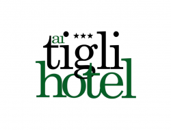 Hotel ai tigli - Hotel - Langhirano (Parma)