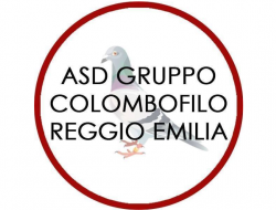 Gruppo colombofilo tricolore - Sport - associazioni e federazioni - Reggio Emilia (Reggio Emilia)
