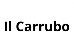 Il carrubo - Dottori commercialisti - studi - Torino (Torino)