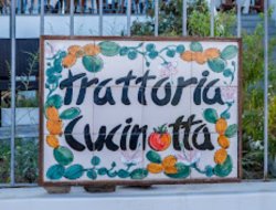 Trattoria cucinotta - Ristoranti - Santa Marina Salina (Messina)