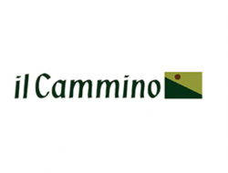 Il cammino - Associazioni di volontariato e di solidarietà - Torino (Torino)
