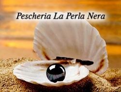 Pescheria la perla nera - pescheria gastronomia - Forniture alberghi, bar, ristoranti e comunit,Gastronomie, salumerie e rosticcerie,Pescherie - Subbiano (Arezzo)