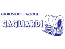 Gagliardi traslochi autotrasporti - Traslochi - Firenze (Firenze)