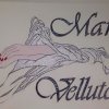 Mani di velluto - Estetiste - Cortona (Arezzo)