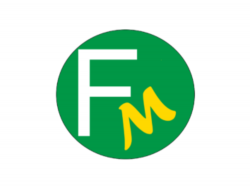 Fabbrica materassi osimo - Materassi - Osimo (Ancona)