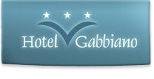 Hotel il gabbiano - Hotel - Rimini (Rimini)
