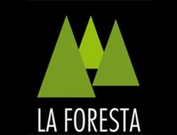 Soc. agricola la foresta legname da costruzione - Arredo urbano,Coperture edili impermeabili,Legname da lavoro,Pali - produzione e commercio,Segherie,Arredi e attrezzature per esterni vendita - Serra San Bruno (Vibo Valentia)