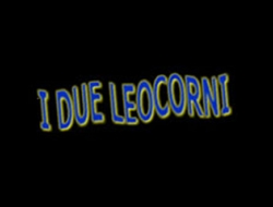 I due leocorni pet shop toiletta cani tor tre teste - Animali domestici - toeletta - Roma (Roma)