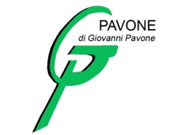 Pavone gomme e revisioni - Autofficine e centri assistenza,Autofficine, gommisti e autolavaggi attrezzature,Pneumatici - produzione e ricostruzione,Ricambi e componenti auto commercio - Reggio Calabria (Reggio Calabria)