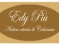 Opinioni degli utenti su Edy Piu' Antica Osteria di Calcinaia