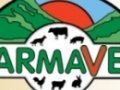 Opinioni degli utenti su Farmavet