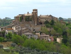 Bar dello sport - Pizzerie - Celleno (Viterbo)