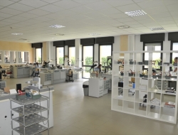 Laboratorio odontotecnico ramponi gianluigi - Odontotecnici - laboratori - Leno (Brescia)
