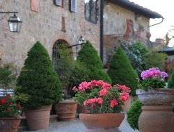 Il colombaio appartamenti per vacanze in toscana - Agriturismo,Alberghi,Ristoranti - Casole d'Elsa (Siena)