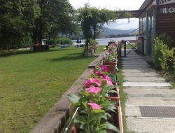 Ristorante il coppale - Ristoranti - Cadrezzate (Varese)