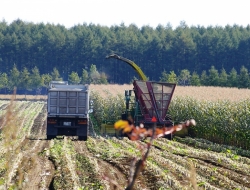 Linea verde - Macchine agricole - accessori e parti - Villacidro (Medio Campidano)