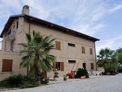 Agriturismo vecchia monta - Agriturismo - Campofilone (Fermo)