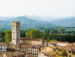Focus intermedia - Agenzie immobiliari - Capannori (Lucca)