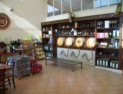 Cantina del fucino - Enoteche e vendita vini,Vini e spumanti - produzione e ingrosso - Avezzano (L'Aquila)