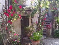 Agriturismo a casa da angelo - Agriturismo - Grottammare (Ascoli Piceno)