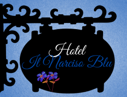 Hotel narciso blu - Alberghi,Bed & breakfast,Hotel - Rocca di Cambio (L'Aquila)