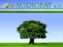 Agrigest s.r.l. - Animali domestici - alimenti ed articoli,Concimi e fertilizzanti,Giardinaggio e agricoltura - macchine, attrezzi e prodotti ,Sementi e bulbi,Vivai piante e fiori,Aziende agricole e zootecniche - Roma (Roma)