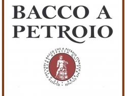 Bacco a petroio - Agriturismo,Ristoranti - trattorie ed osterie,Cantine - Vinci (Firenze)
