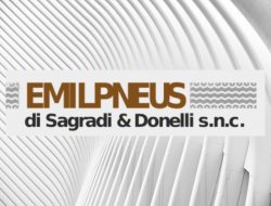 Emilpneus - Autofficine, gommisti e autolavaggi attrezzature,Pneumatici - commercio e riparazione - Castelnovo di Sotto (Reggio Emilia)