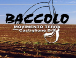 Baccolo mt - Macchine movimento terra,Scavi e demolizioni - Castiglione delle Stiviere (Mantova)