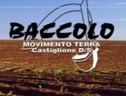 Baccolo mt - Macchine movimento terra,Scavi e demolizioni - Castiglione delle Stiviere (Mantova)