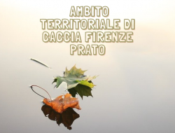 Ambito territoriale di caccia firenze -prato - Associazioni ed enti di pubblico interesse - Firenze (Firenze)